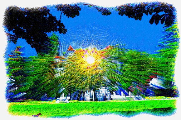 Le jardin des lumières